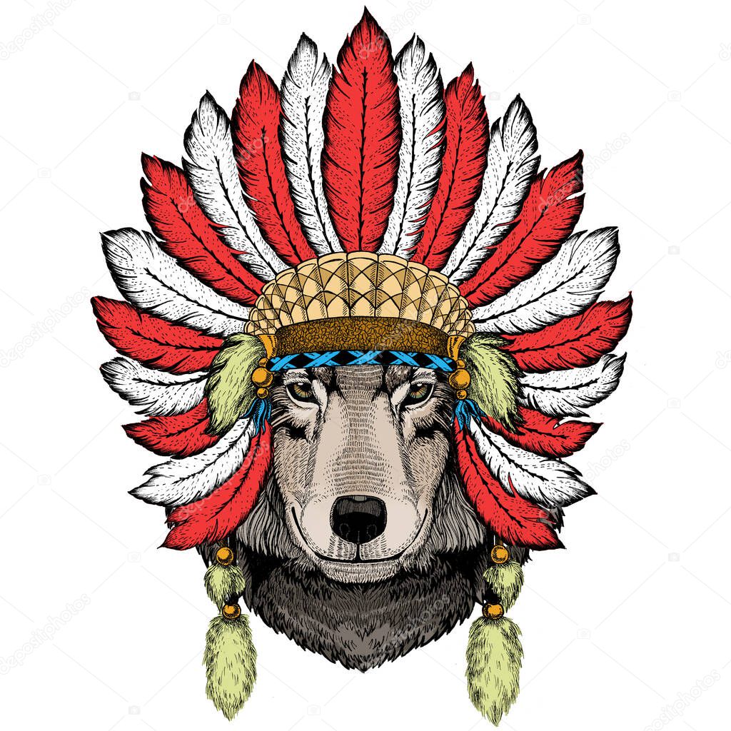 Wolf portrait. Head of wild animal. Indian headdress with feathers. Boho style.