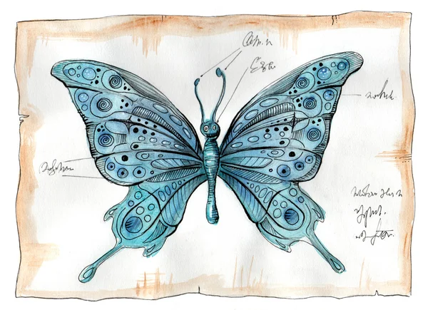 Acuarela ilustración de mariposa Imágenes De Stock Sin Royalties Gratis