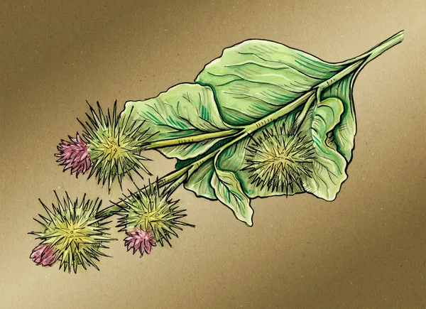 Dulavratotu bitki suluboya çizimi