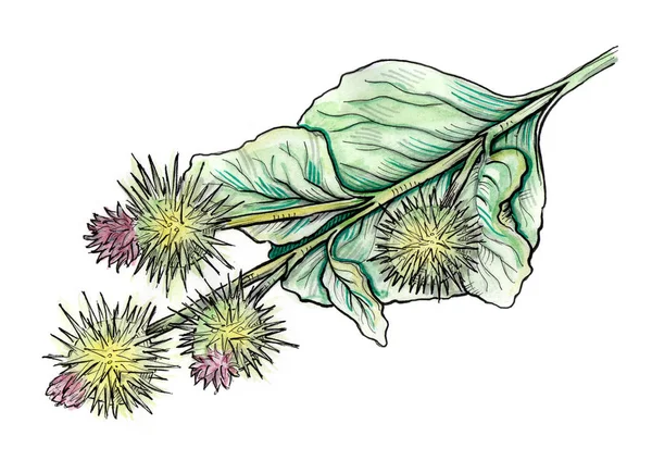 Dulavratotu bitki suluboya çizimi