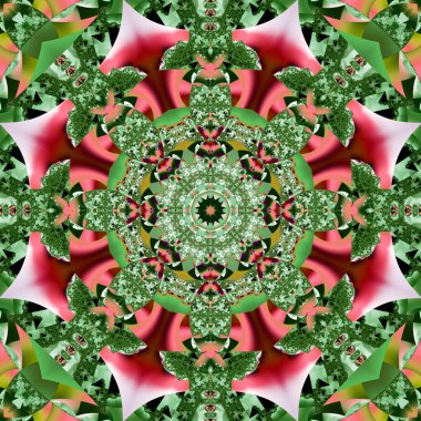 İpek boyun atkısı, fular, şallar için mandala tasarımı