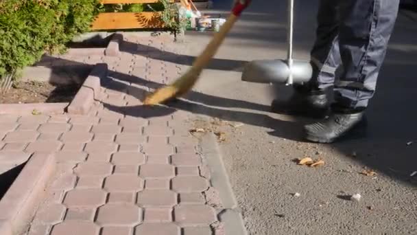 Janitor sweeping leaves on the sidewalk Broom cleans the paving slabs in a scoop — Stock Video