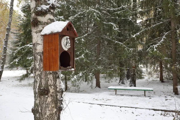 Kış parkta bir kuş yuvası olarak guguk kuşu ile eski bir duvar saati