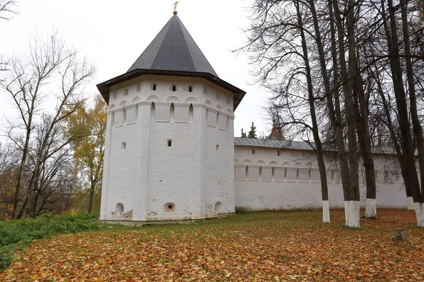 Een weergave van een van de torens Savvino-Storozhevsky klooster, Rusland — Stockfoto