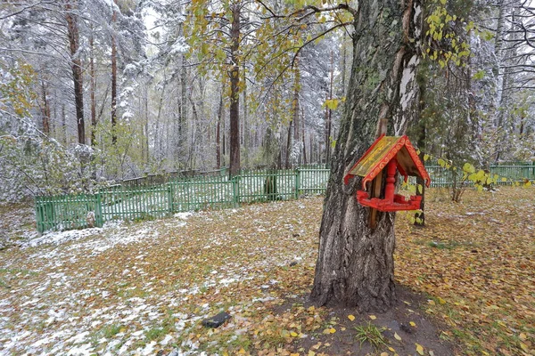 İşte Rus tarzı kış Park boyalı huş ağacı, bir kuş yuvası