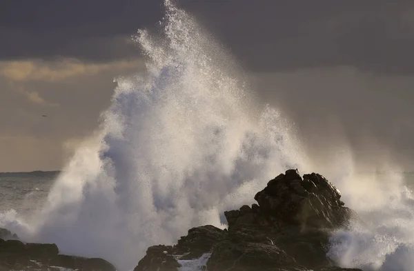 Tempête de mer au coucher du soleil avec éclaboussures de grosses vagues — Photo
