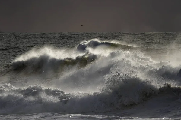 Dark winter waves