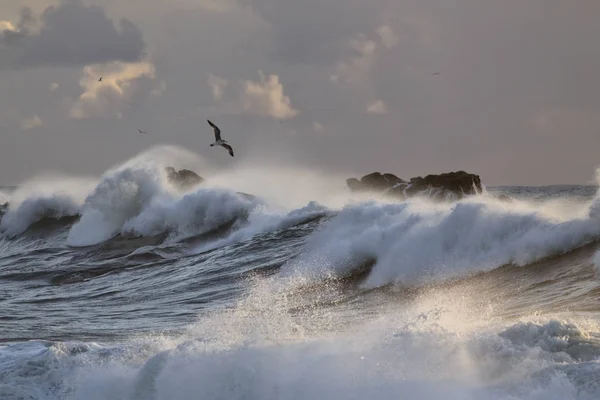 Tempestade marítima com grandes ondas de ruptura — Fotografia de Stock