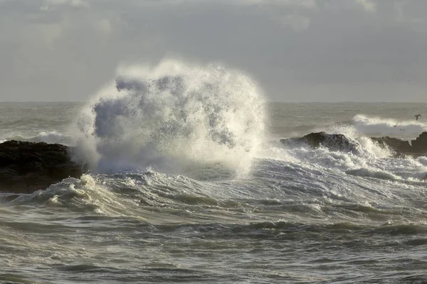荒れた海で殴られた岩 — ストック写真