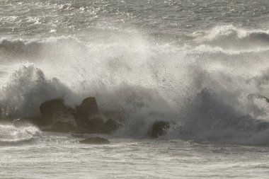 Deniz dalga sıçrama sprey ile