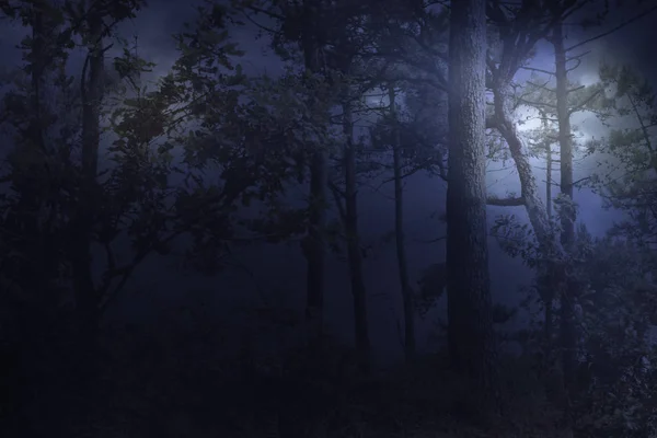 Luna llena se levanta sobre un bosque en una noche brumosa — Foto de Stock
