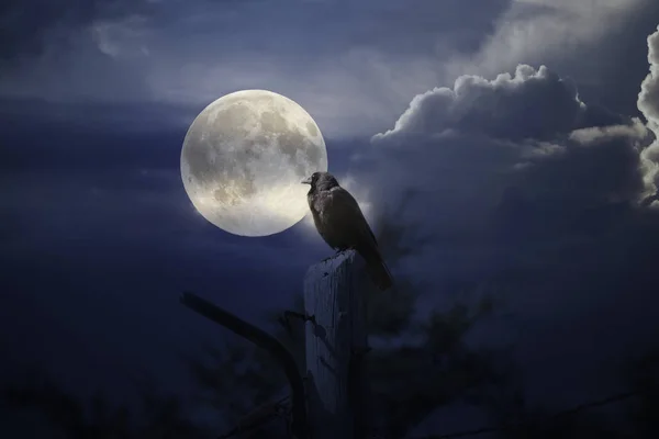 ดวงจันทร์เต็มดวง — ภาพถ่ายสต็อก