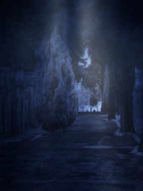 sisli bir gece mezarlıkta