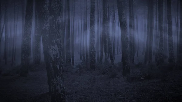 Mörk skog på natten — Stockfoto