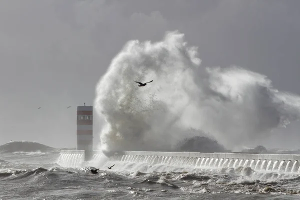 Grande vague éclaboussure — Photo