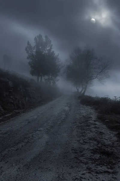 Mistige bergweg bij nacht — Stockfoto