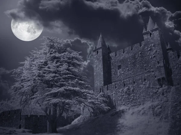 Castle in a full moon night — Stock Photo, Image