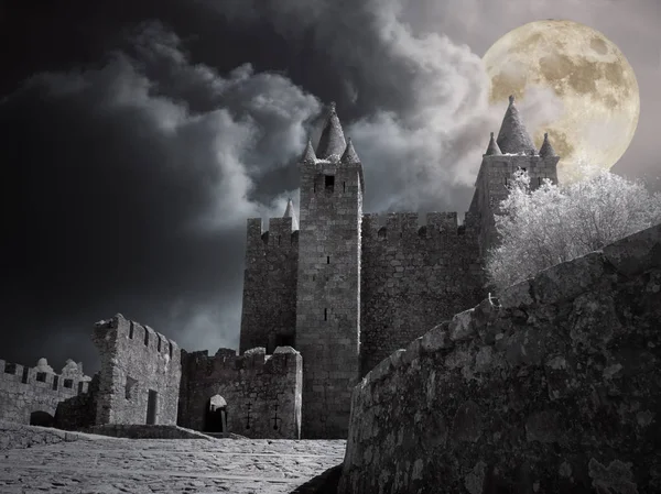 Medieval castle in a full moon night — Stock Photo, Image