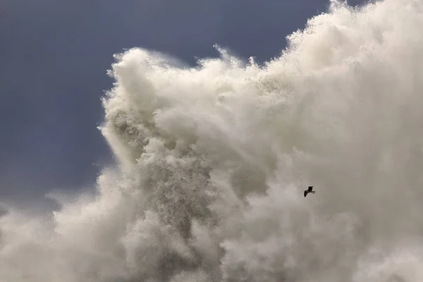 Grande vague de mer éclaboussure — Photo