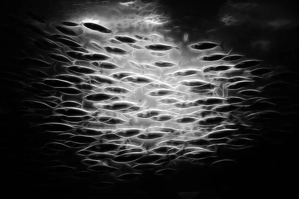 물고기의 디지털 떼 — 스톡 사진