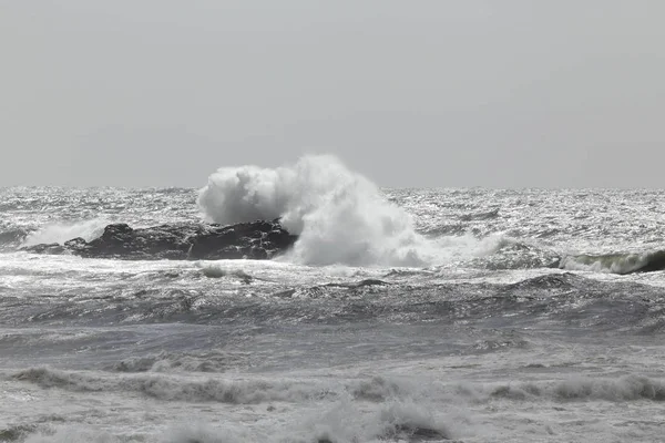 Breaking stormy waves