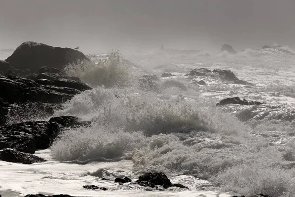 Fırtınalı kayalık sahil — Stok fotoğraf