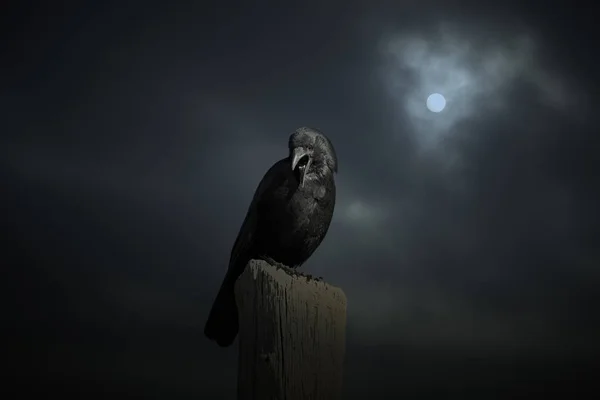 ฝูงชนในคืนพระจันทร์เต็มดวง — ภาพถ่ายสต็อก