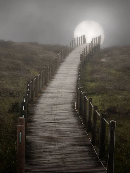 Foggy dune walkway — Stock Photo, Image