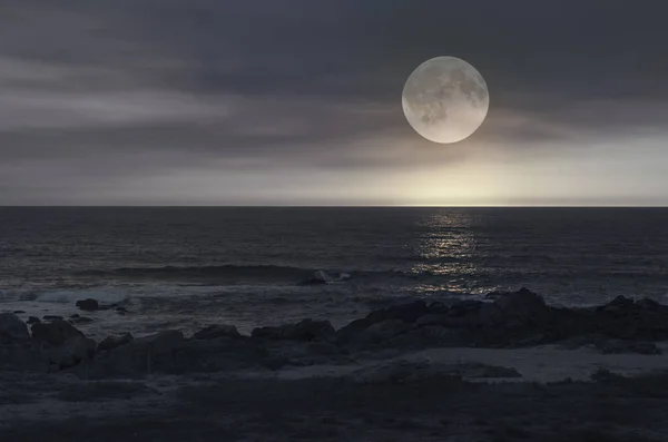 보름달 밤 해변에서 — 스톡 사진