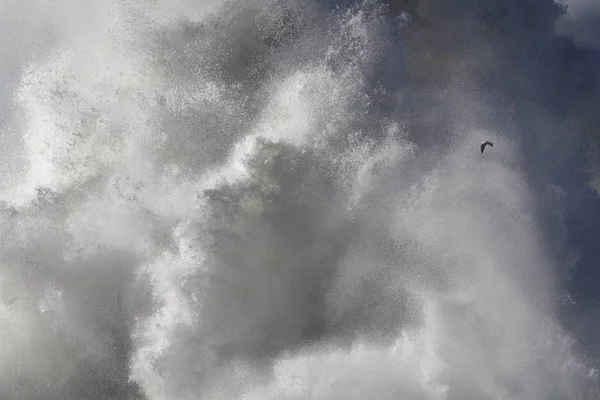 Ola tormentosa enorme salpicadura —  Fotos de Stock