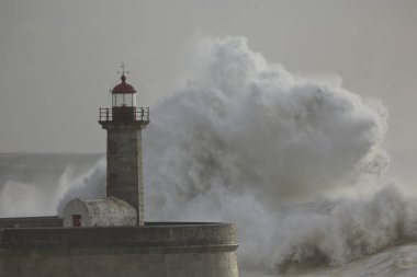 Büyük fırtınalı deniz dalgaları
