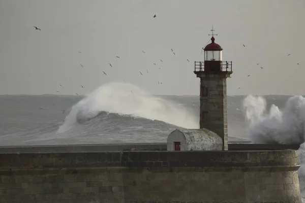 Mar agreste na foz do rio Douro — Fotografia de Stock