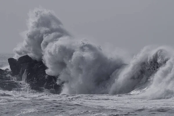 Roug vague de mer éclaboussure — Photo