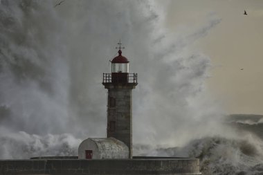 Fırtınalı dalga sıçrama