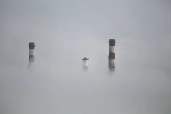 Chaminés de refinaria de petróleo no nevoeiro — Fotografia de Stock