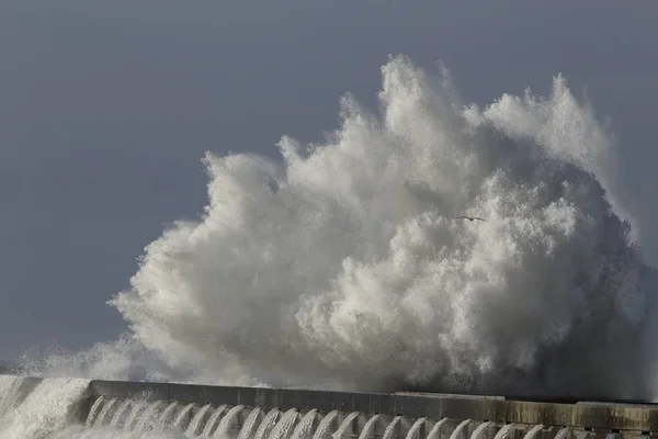 Salpicadura de ola enorme detallada —  Fotos de Stock