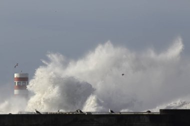 Büyük dalga sıçrıyor ve püskürtüyor.