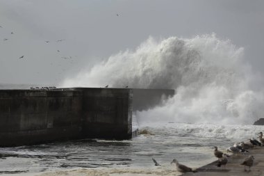 büyük dalga sıçrama 