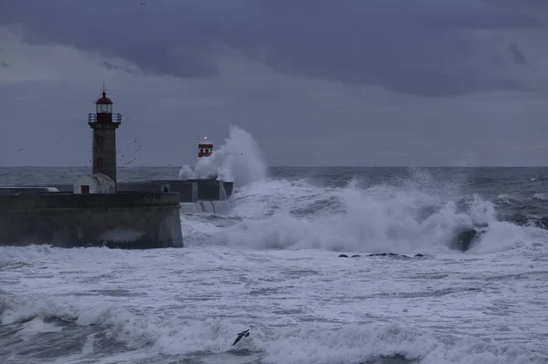 Tempestade marítima ao entardecer — Fotografia de Stock