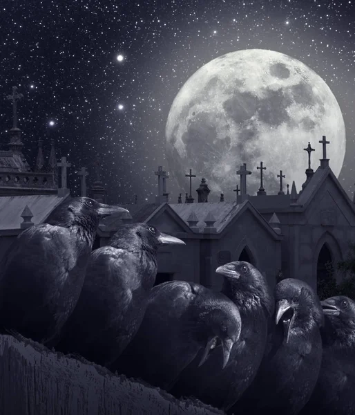 Night of the crows — Stock Photo, Image