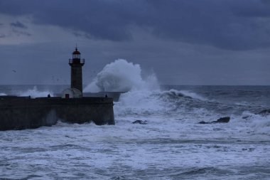 Alacakaranlıkta deniz keneviri
