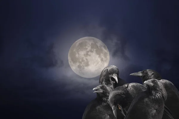 Crows in a cloudy full moon night