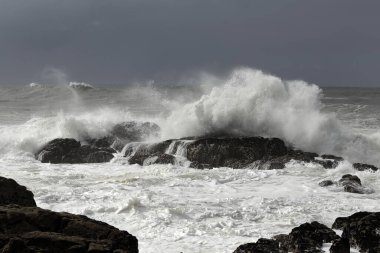 Fırtına ve yağmurdan önce Rocky sahili