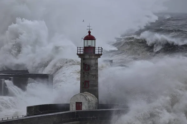 La tormenta en el mar —  Fotos de Stock