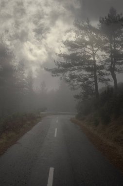 Dark mountain forest road