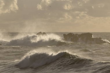 Gün batımında bir deniz fırtınasının ışığı. Kuzey Portekiz kayalık kıyıları.