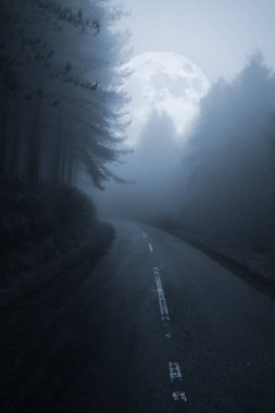 Sisli bir dolunayda dağ yolu.