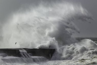 Büyük fırtınalı dalga sıçraması. Douro Nehri Ağzı İskelesi.