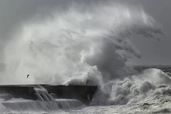 Grote Stormachtige Golf Plons Douro Riviermonding Pier — Stockfoto