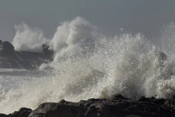 Büyük Deniz Dalgası Yakın Çekim — Stok fotoğraf